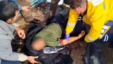 Domuz Avında Ayı Saldırısı: Eski Muhtar Hayatını Kaybetti