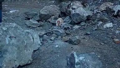 Dağdan Kaya Düştü, Araç Tehlikeli Anlar Yaşadı