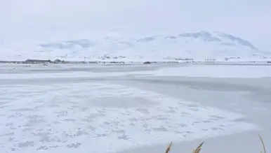 Doğu Anadolu'da Göl Buz Tuttu: Doğal Yaşam Tehdit Altında